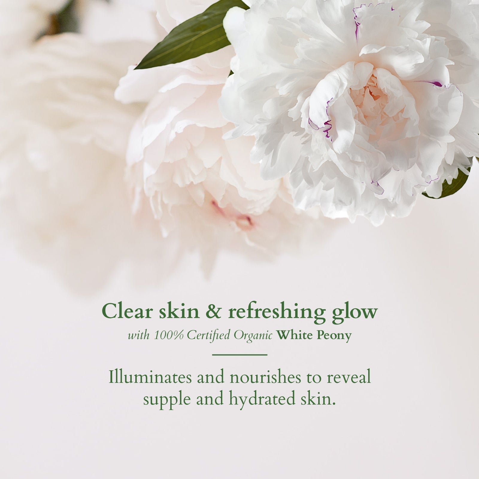 Lotus Herbals Precious Brightening Face Wash, 100g
