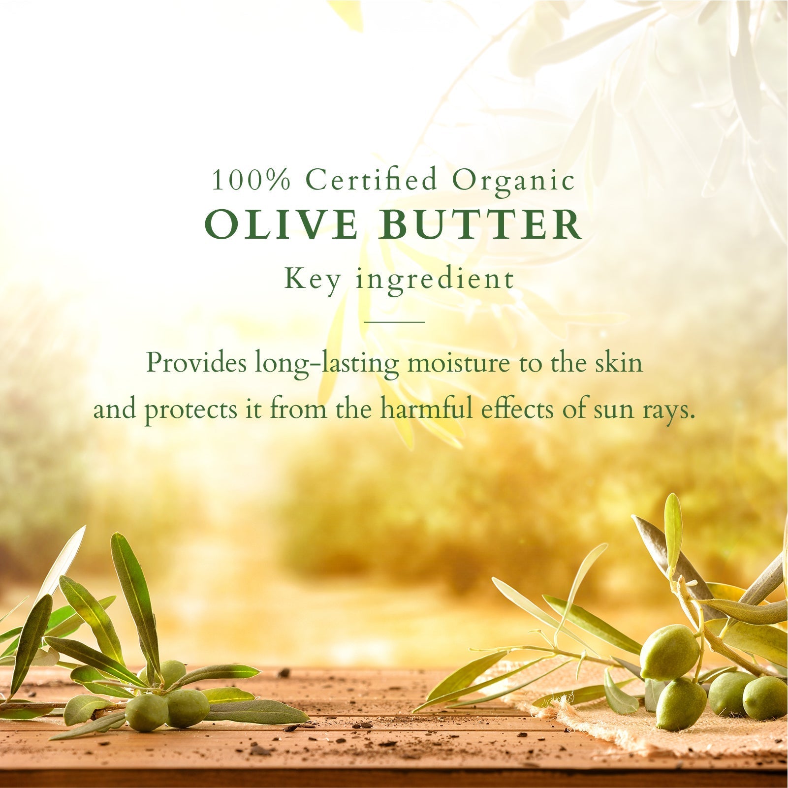 Lotus Herbals Organics+ Mystic Indulgence Body Lotion SPF 20, 200ml