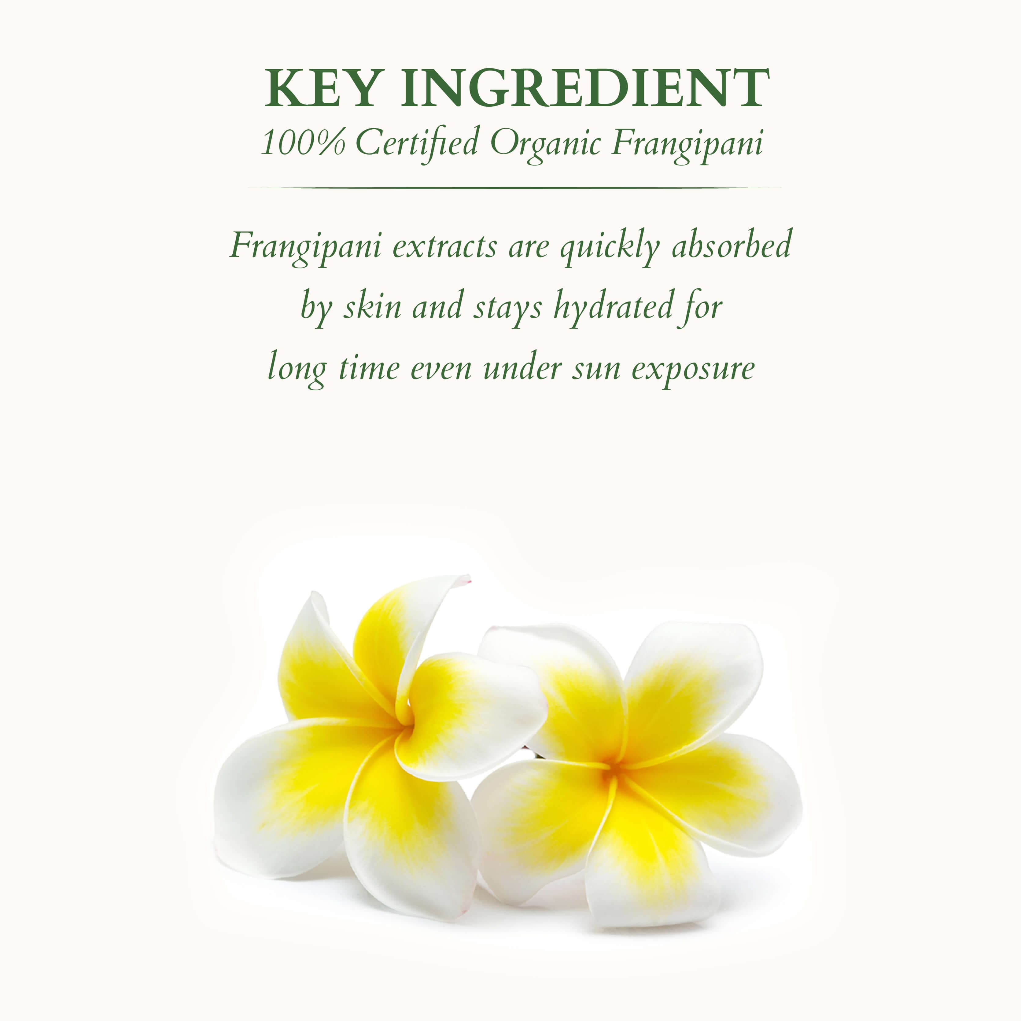 Lotus Herbals Organics+ Mineral Sunscreen: SPF 30 + SPF 30, 100g 100g