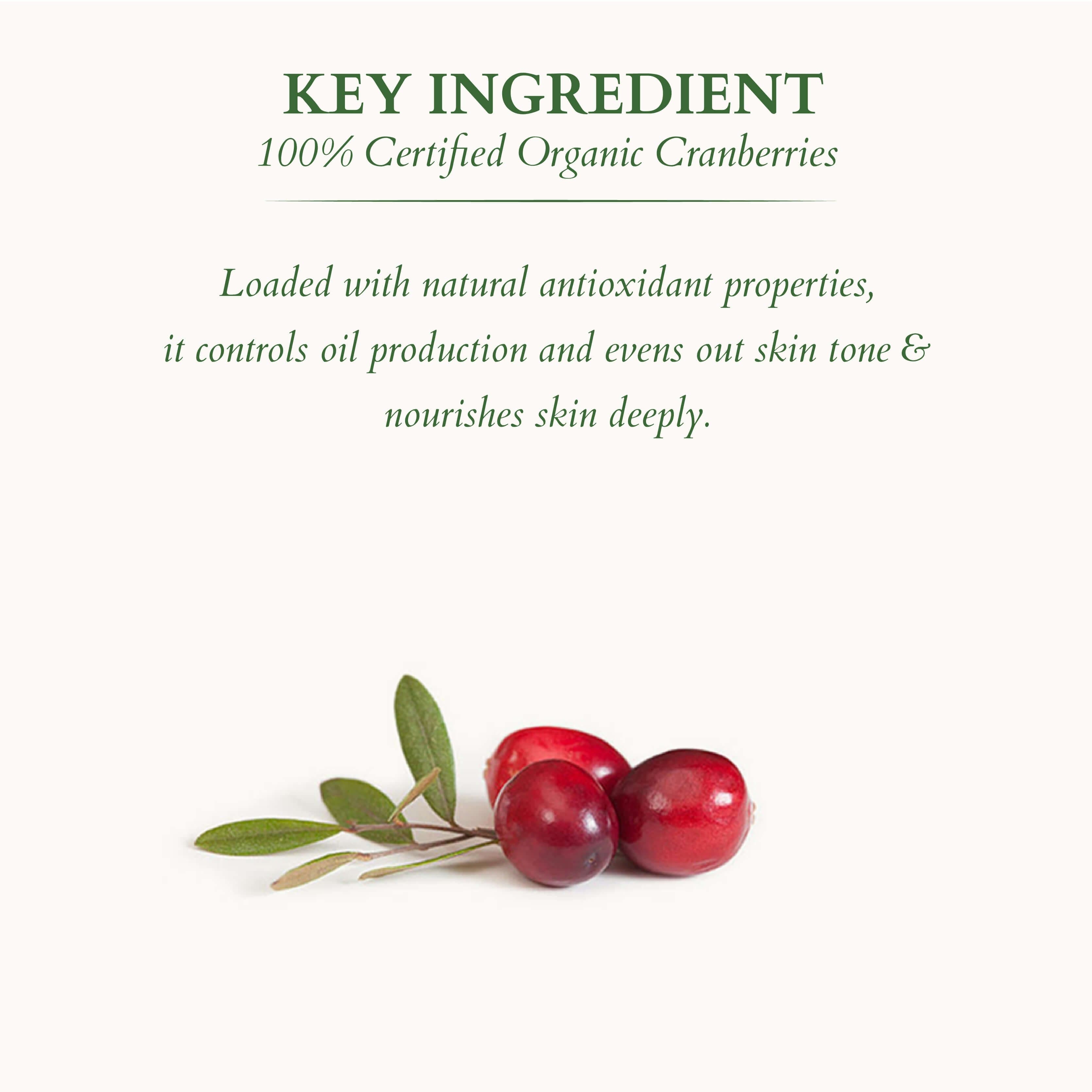 Lotus Herbals Organics+ Mineral Sunscreen: SPF 40 + SPF 30, 100g + 100g