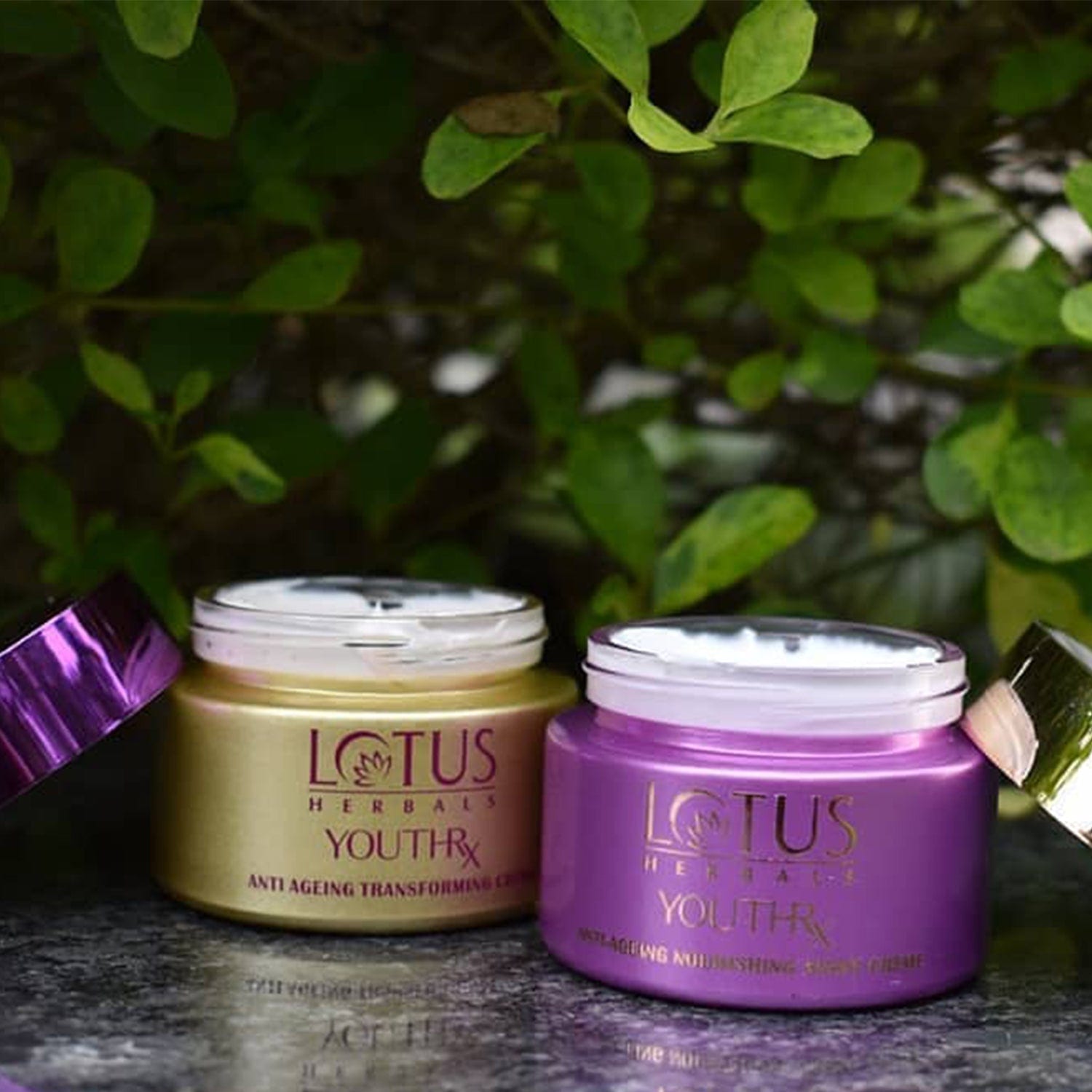 Lotus Herbals YouthRx Day & Night Power Regimen Pack, Day Creme 50g + Night Creme 50g