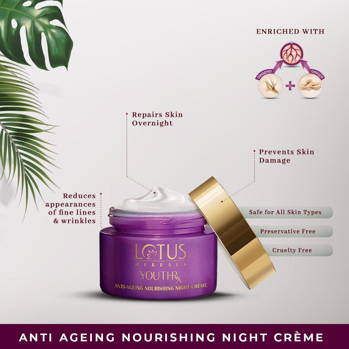 Lotus Herbals YouthRX Wrinkle Defense Combo, Day Creme 50g + Night Creme 50g