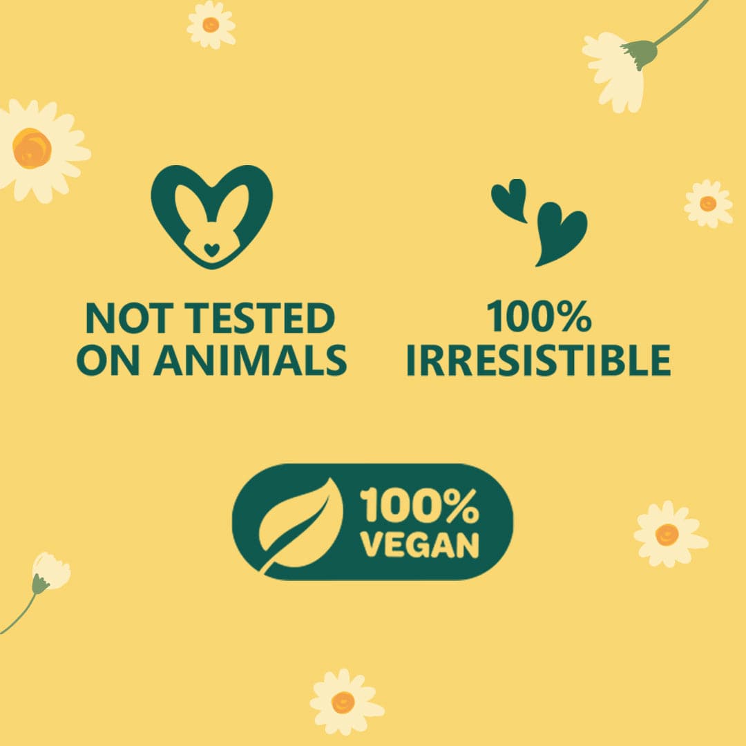 Plum Oopsie Daisy Body Mist by Plum BodyLovin' | Long Lasting | Travel-Friendly | Citrusy-Floral Fragrance | Perfume Body Spray, 150ml