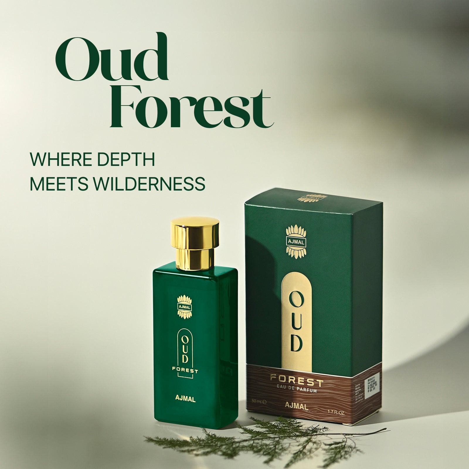 Oud Forest Perfume 50 ML for Unisex - Image 3 - Buy from Indicrest