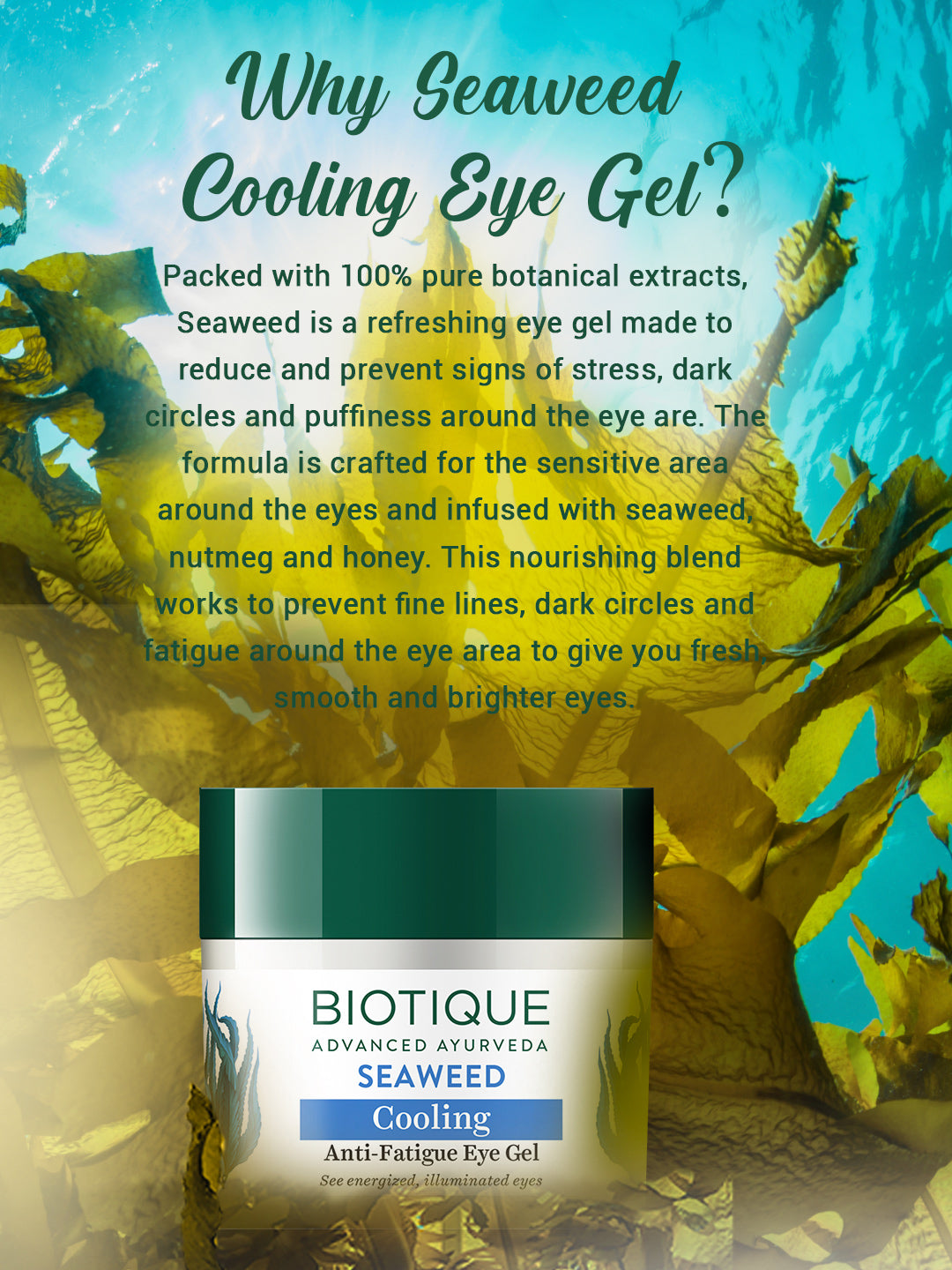 Biotique Seaweed Cooling Anti-Fatigue Eye Gel, 20g - Image 5 - Buy from Indicrest