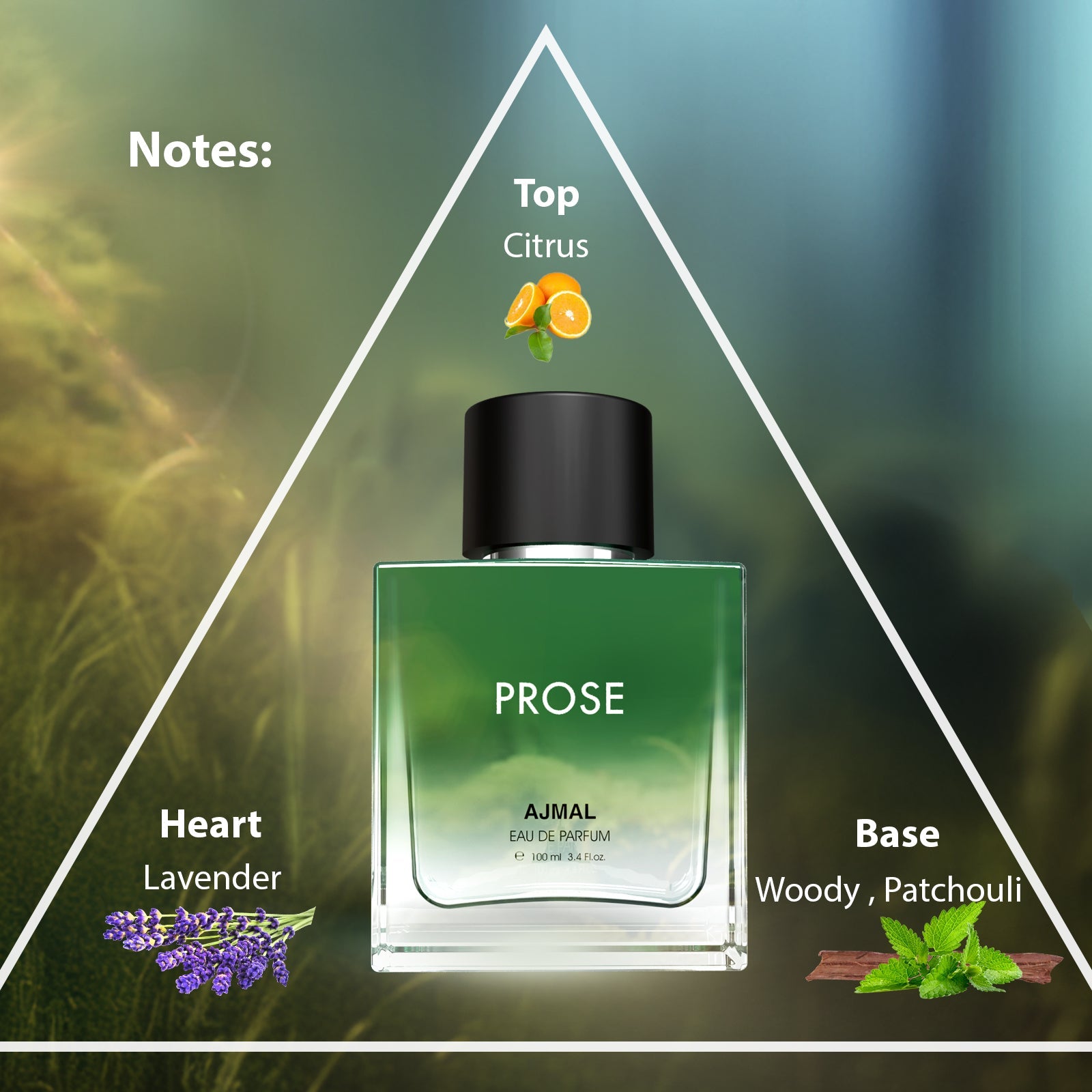 PROSE Perfume 100ML for Men - Image 4 - Buy from Indicrest