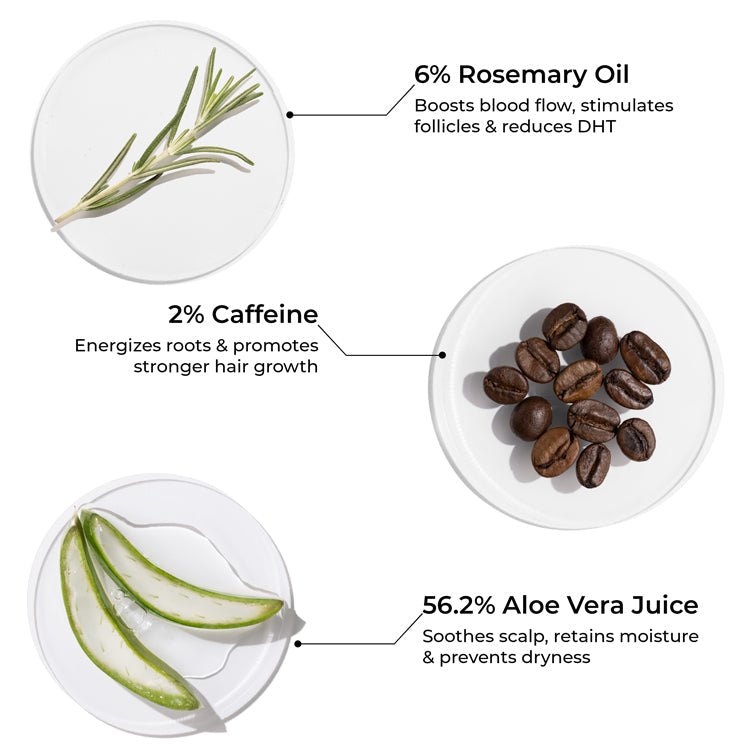 Brillare Mini Rosemary Shampoo for Visible Hair Growth, 15ml - Image 4 - Buy from Indicrest