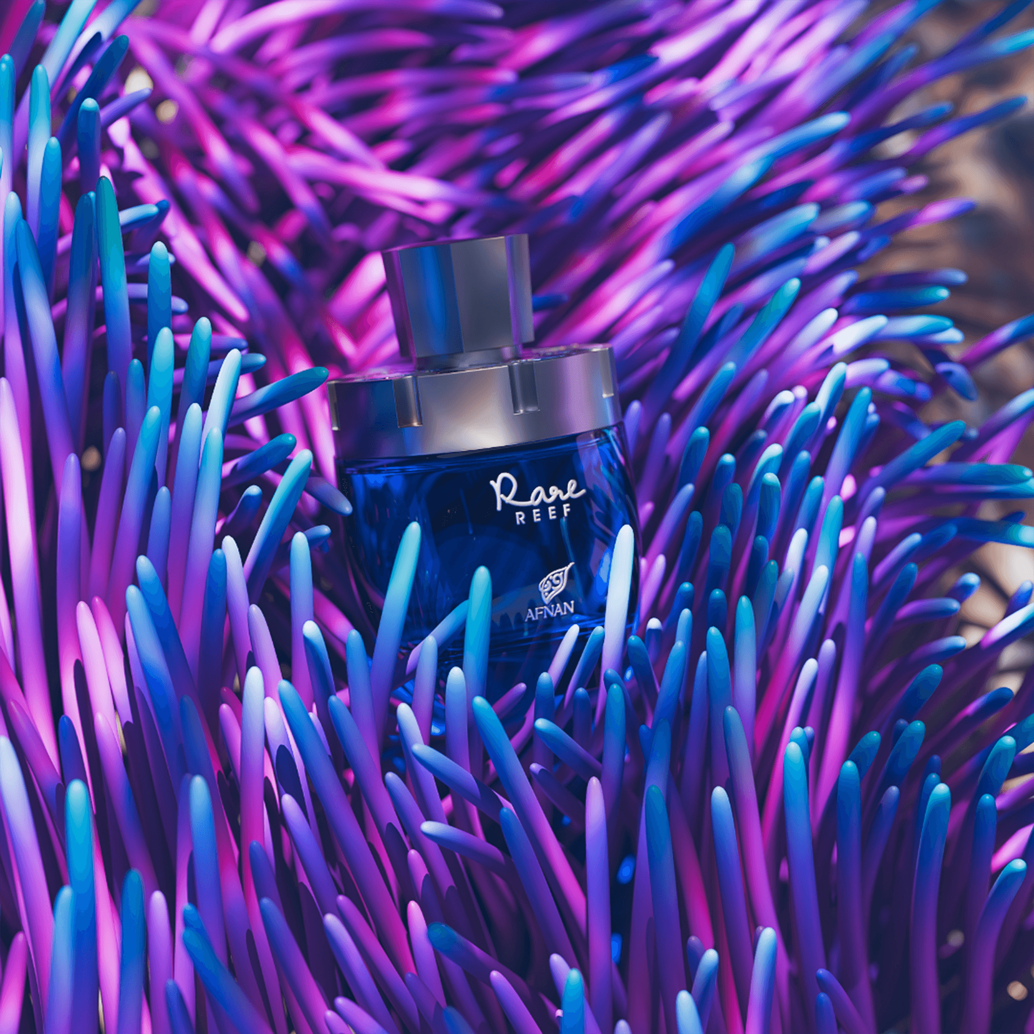 https://india.afnan.com/products/rare-reef - Image 6 - Buy from Indicrest
