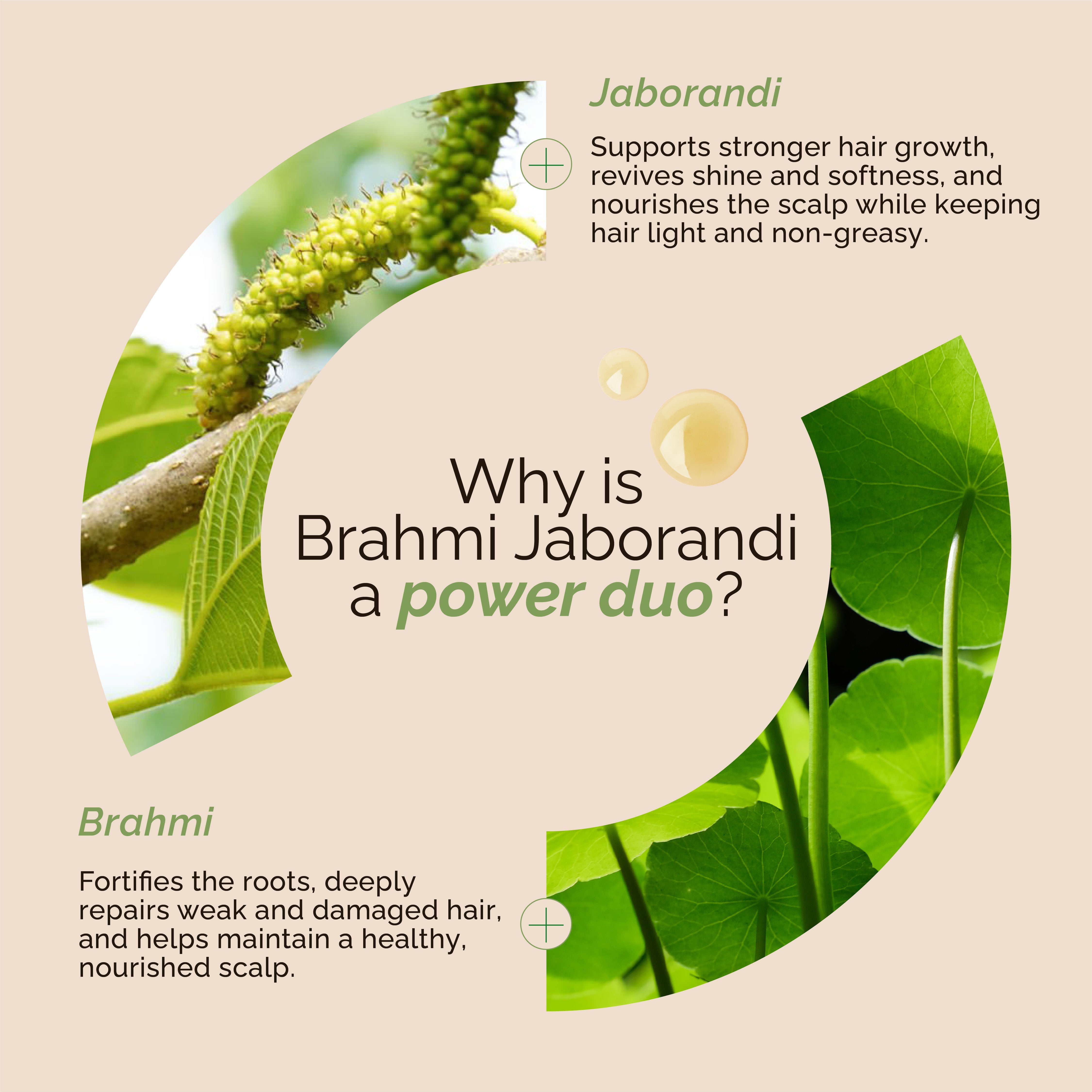 Richfeell Brahmi Jaborandi Nourishing Hair Oil 80 ml (Pack of 2) - Image 3 - Buy from Indicrest