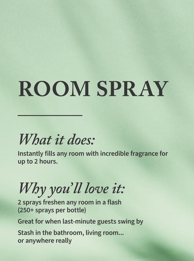 Bath & Body Works Lakeside Morning Concentrated Room Spray, 42.5 g/1.5 oz Buy at Indicrest Image 2