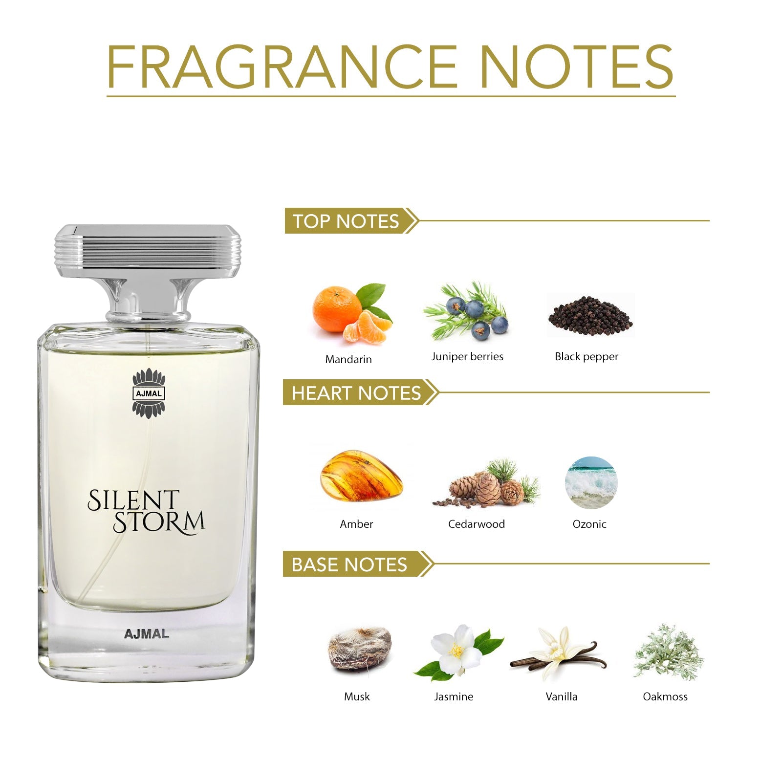 SILENT STORM Perfume 100ML for Men - Image 2 - Buy from Indicrest