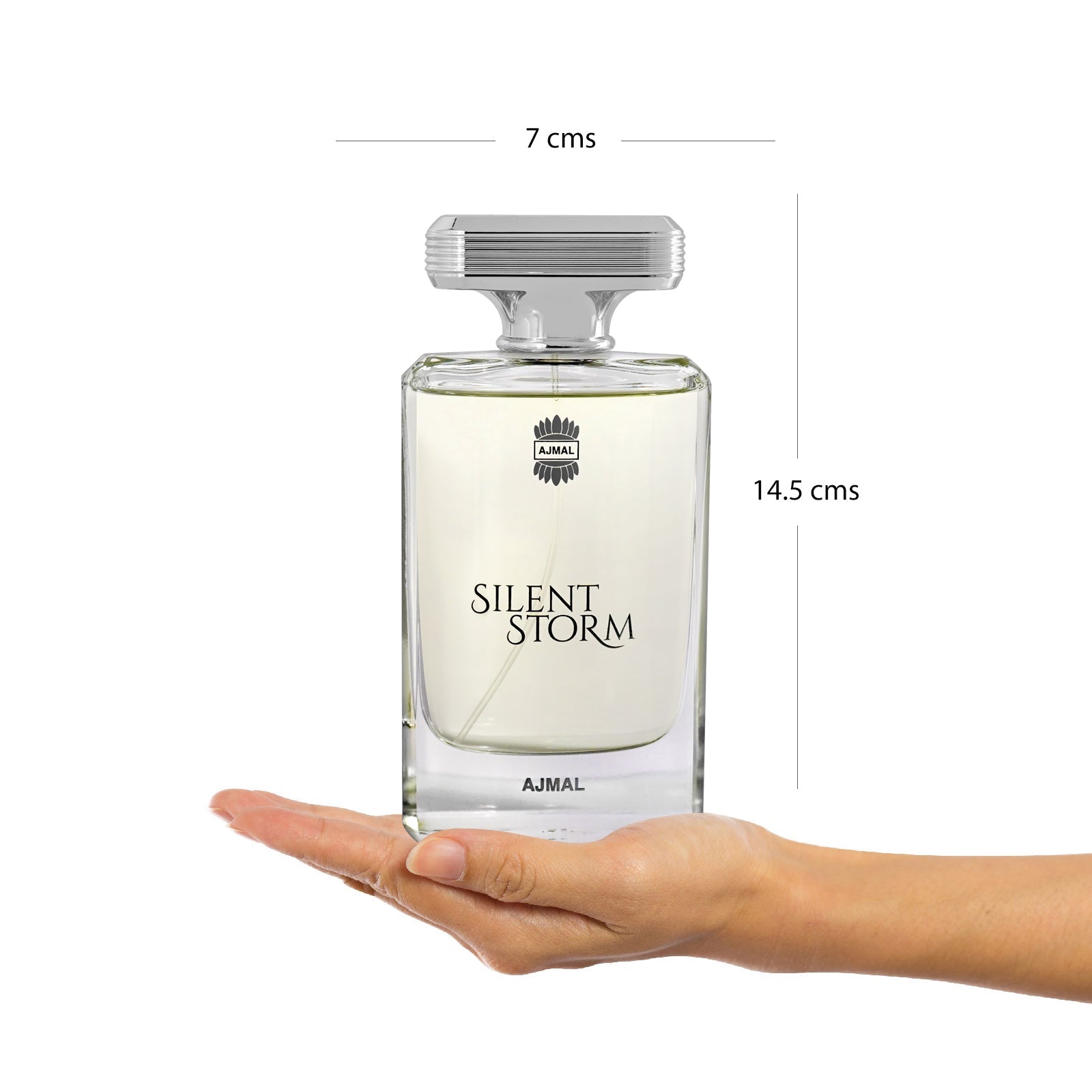 SILENT STORM Perfume 100ML for Men - Image 4 - Buy from Indicrest