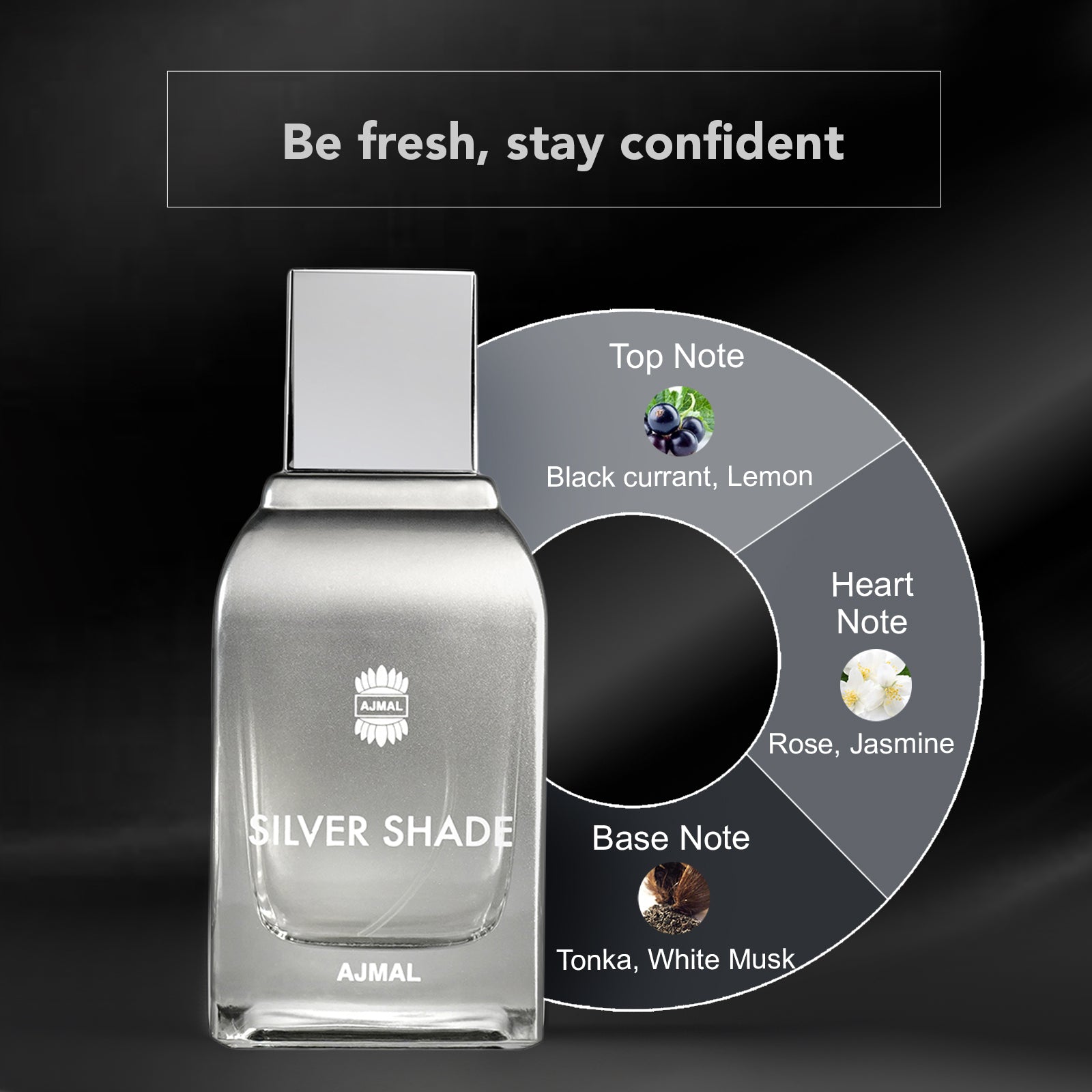 SILVER SHADE Perfume 100ML for Men - Image 4 - Buy from Indicrest