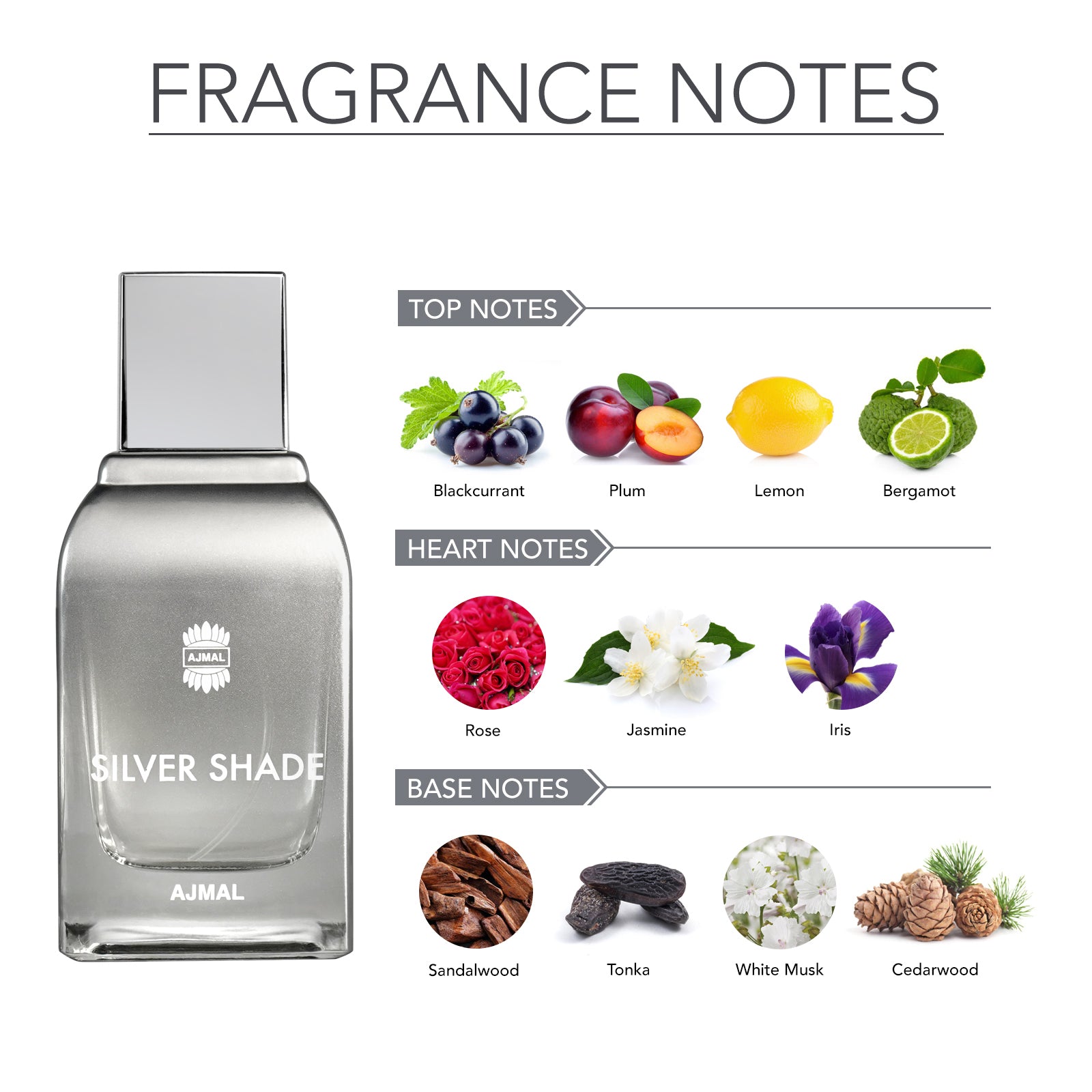 SILVER SHADE Perfume 100ML for Men - Image 2 - Buy from Indicrest