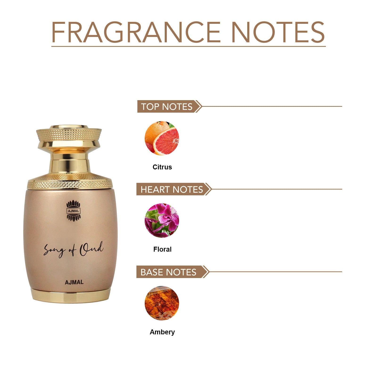 SONG OF OUD Perfume 75ML for Men & Women - Image 5 - Buy from Indicrest