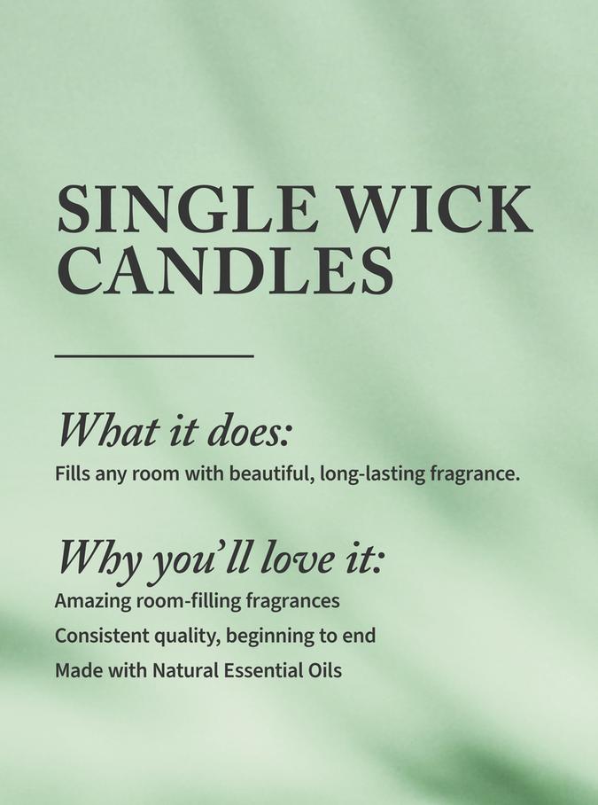 Bath & Body Works Winter Single Wick Candle, 227 g / 8 oz