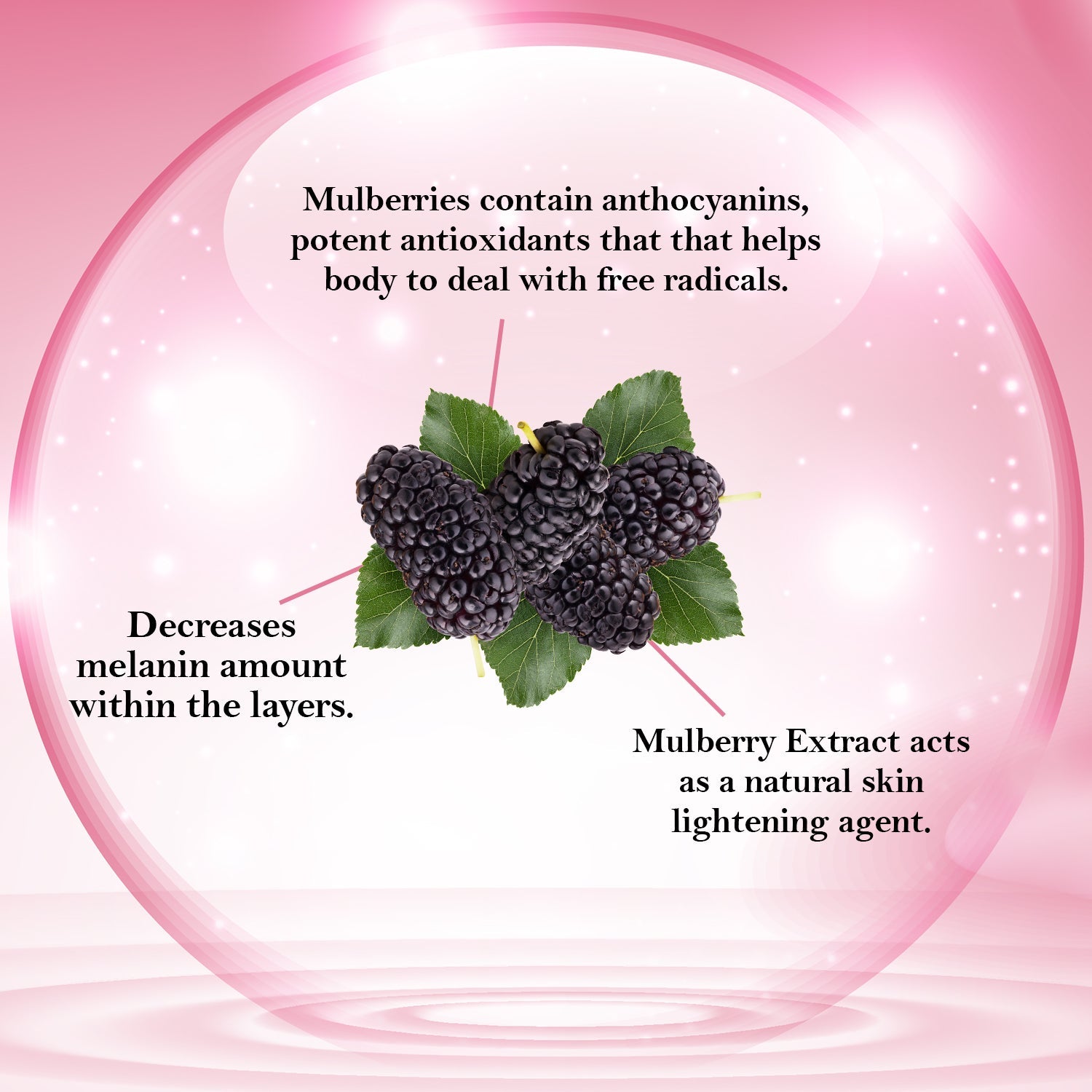 Astaberry Astaberry Professional Mulberry Skin Whitening Gel | Skin Brightening - Image 5 - Buy from Indicrest