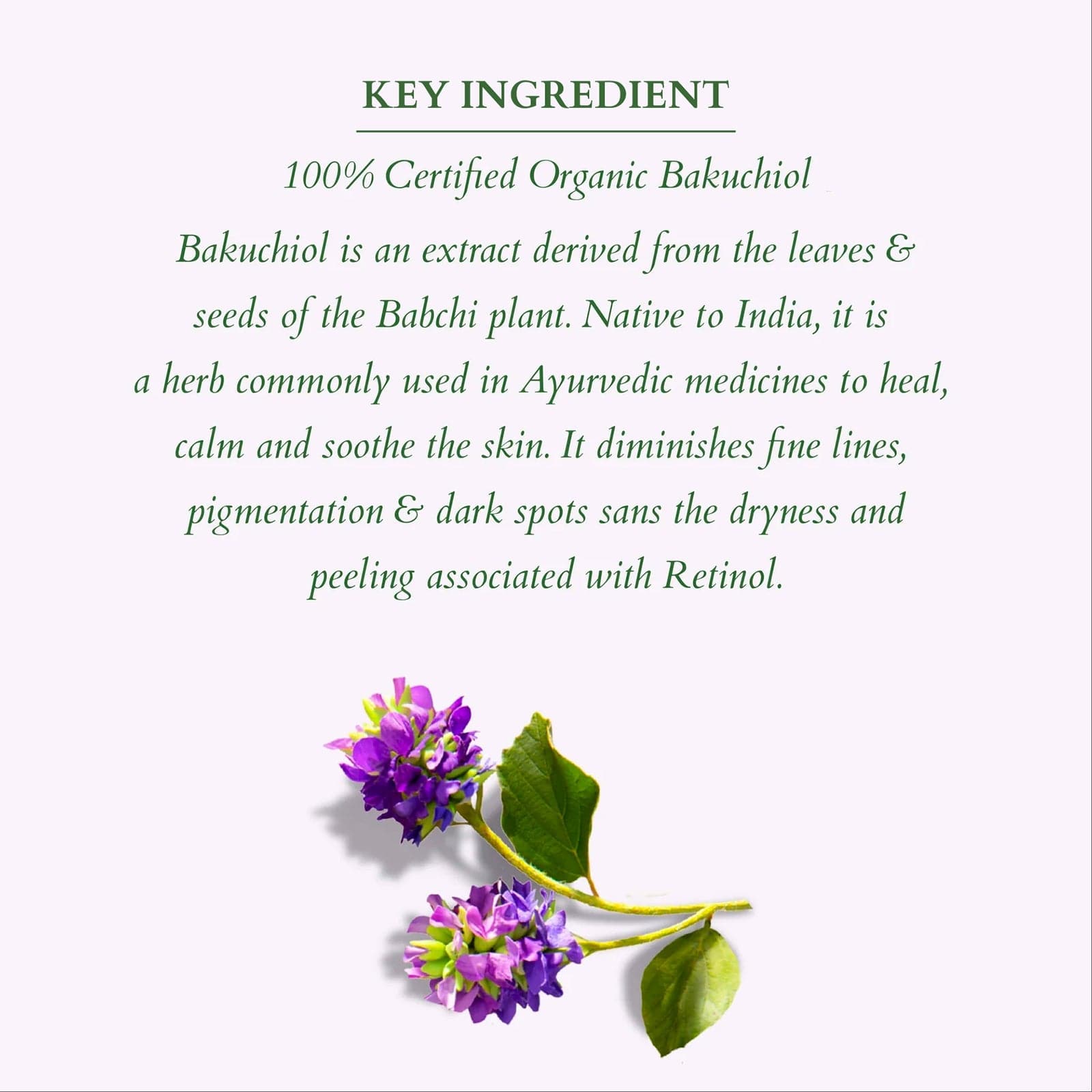 Lotus Herbals Organics+ Summer Bakuchiol Combo, 100g + 30g