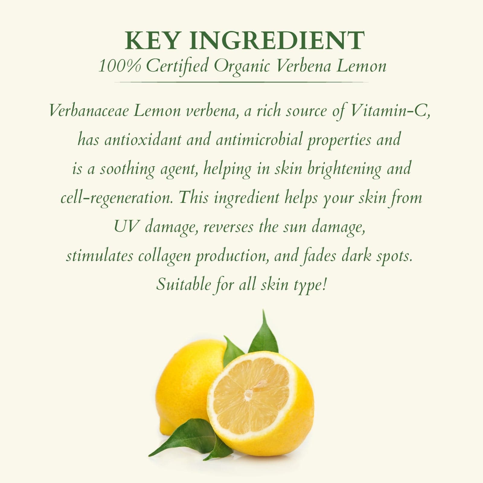 Lotus Herbals Organics+ Vitamin-C Day & Night Radiance Set, Vit C Day Creme 50g Vit C Serum 30mlVit C FW 100g
