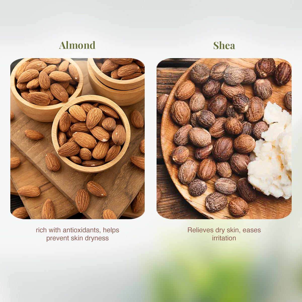 VLCC Almond and Shea Body Lotion - 600 ml - Image 4 - Buy from Indicrest