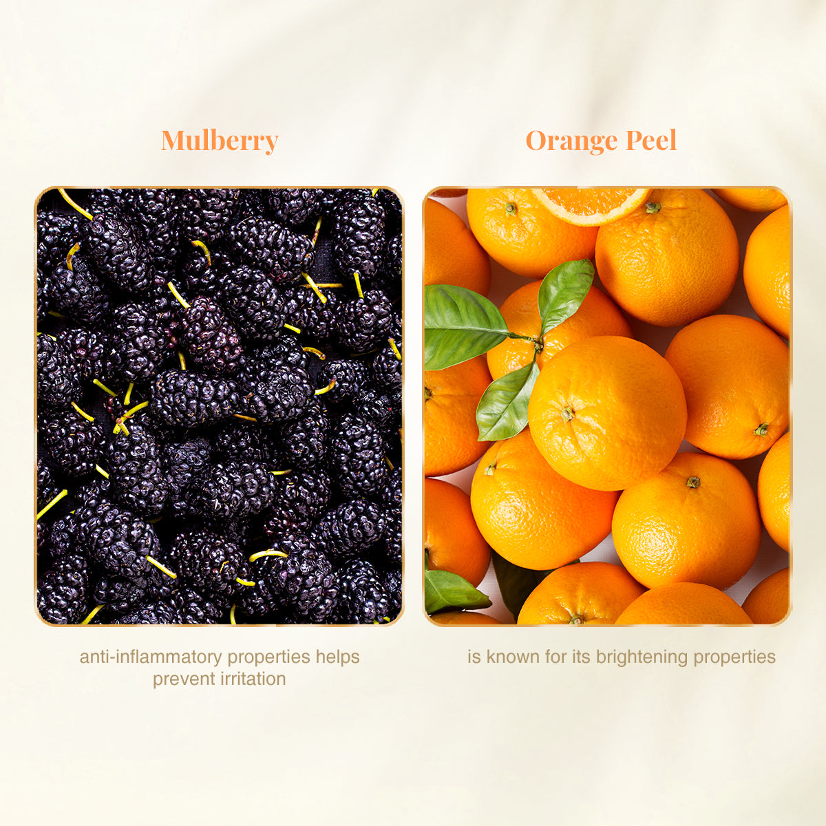 VLCC Anti Tan Skin Lightening Face Wash and Vitamin C Night Serum - Image 5 - Buy from Indicrest