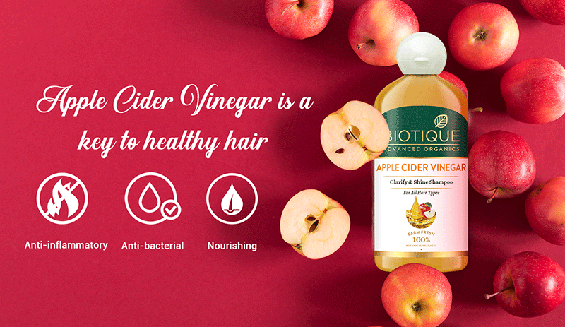 Biotique Apple Cider Vinegar Clarify & Shine Shampoo, 300ml - Image 7 - Buy from Indicrest