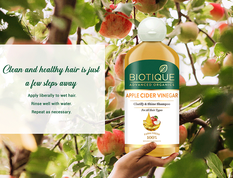 Biotique Apple Cider Vinegar Clarify & Shine Shampoo, 300ml - Image 9 - Buy from Indicrest