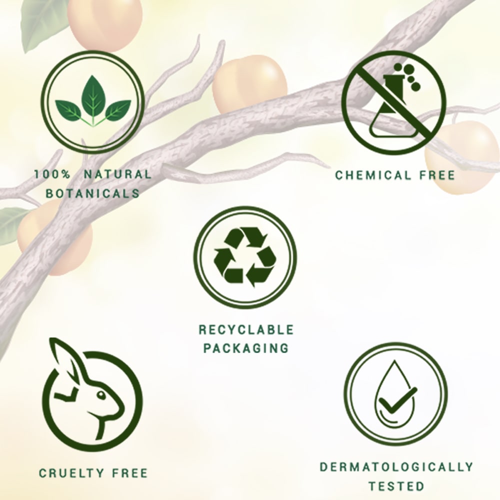 Biotique Apricot Refreshing Body Wash, 800ml - Image 5 - Buy from Indicrest