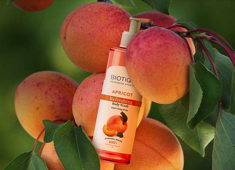 Biotique Apricot Refreshing Body Wash, 500ml - Image 3 - Buy from Indicrest