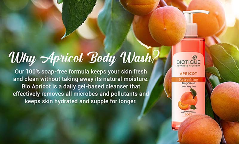 Biotique Apricot Refreshing Body Wash, 500ml - Image 4 - Buy from Indicrest