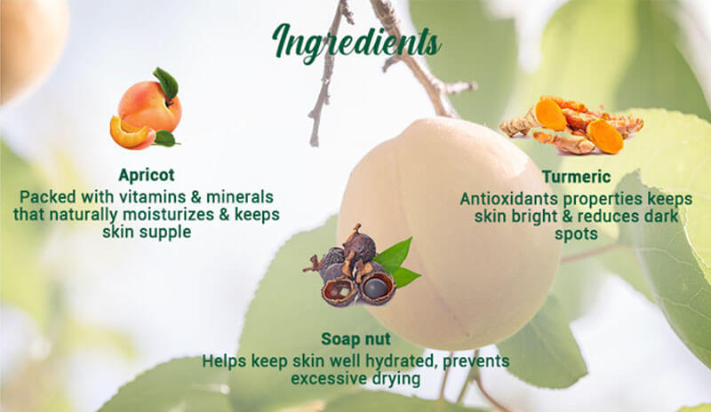 Biotique Apricot Refreshing Body Wash, 500ml - Image 5 - Buy from Indicrest