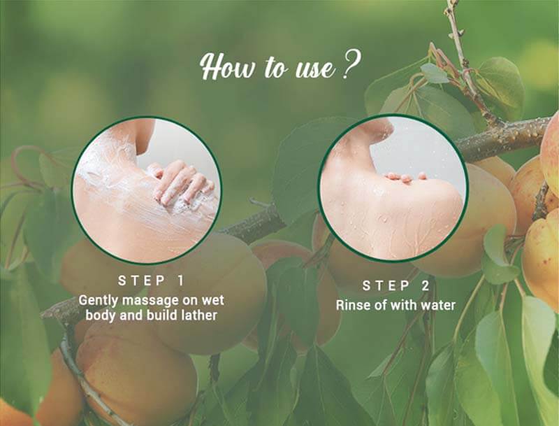 Biotique Apricot Refreshing Body Wash, 500ml - Image 7 - Buy from Indicrest