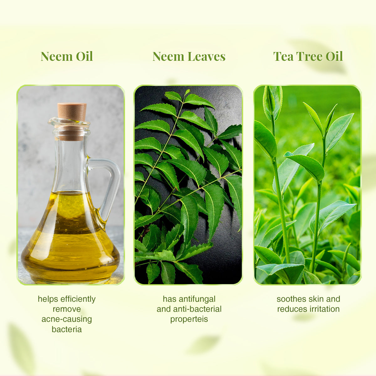 VLCC Ayurveda Skin Purifying Double Power Double Neem Face Wash - 100 ml - Image 5 - Buy from Indicrest