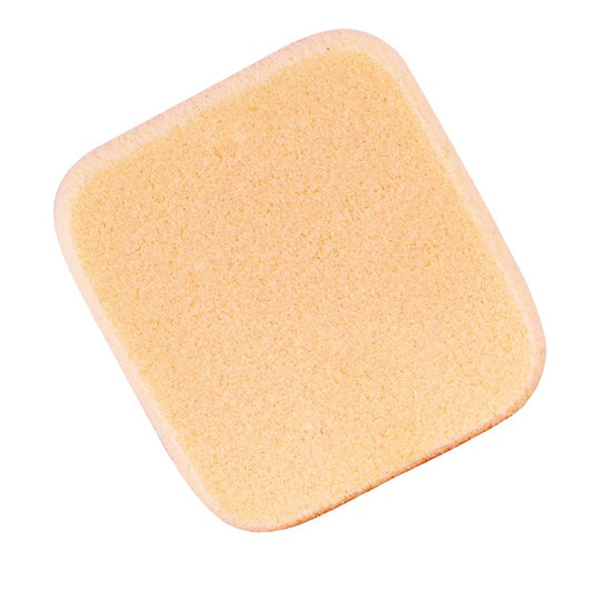 Vega Foundation Sponge (Rectangle) - NBRS Buy at Indicrest