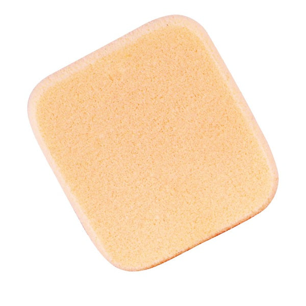 Vega Foundation Sponge (Rectangle) - NBRS Buy at Indicrest