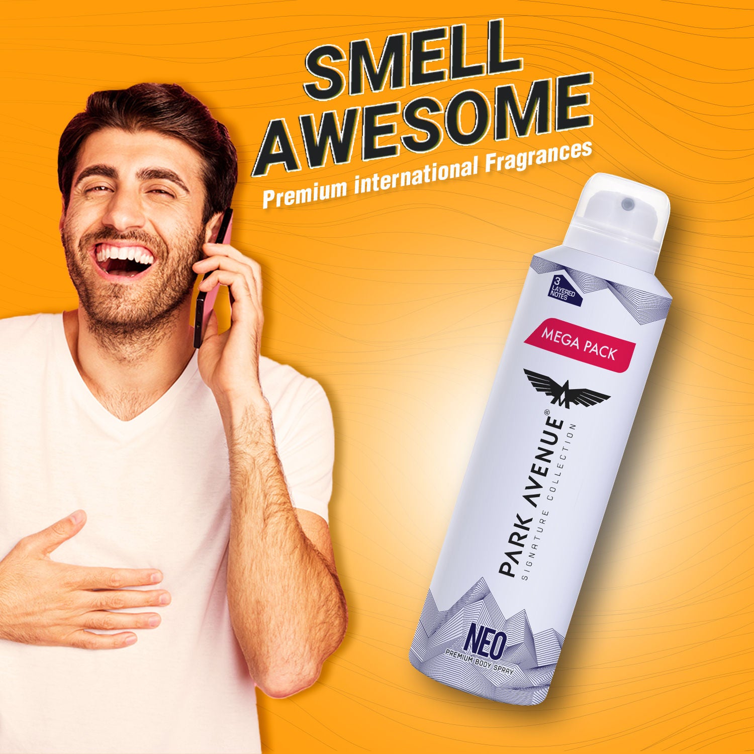 Park Avenue Mega Pack Signature Deo Neo, 167g