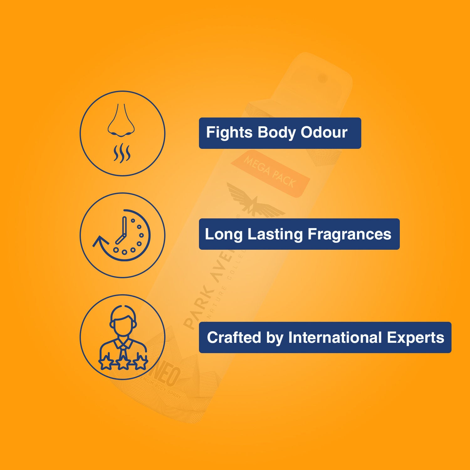 Park Avenue Mega Pack Signature Deo Neo, 167g