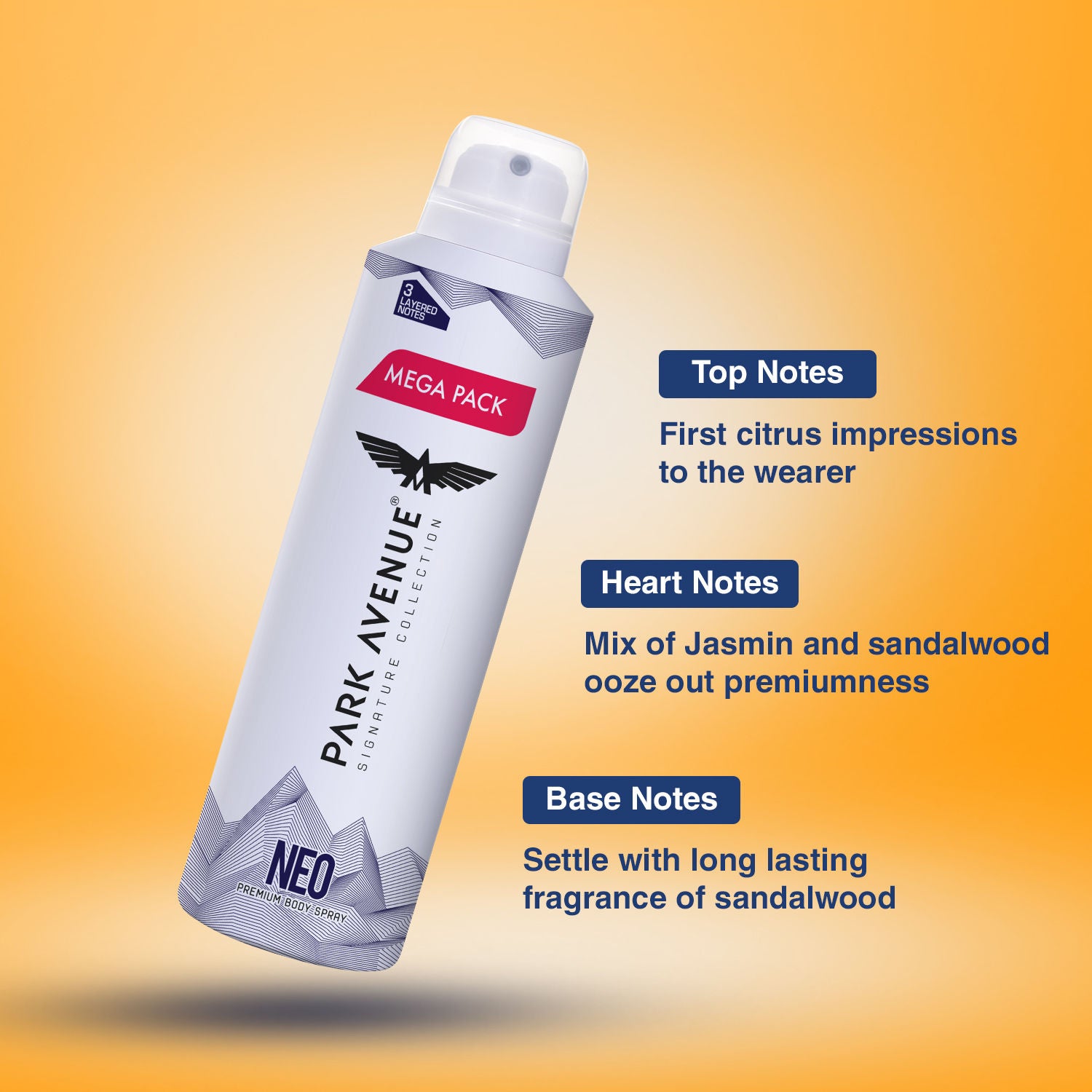 Park Avenue Mega Pack Signature Deo Neo, 167g