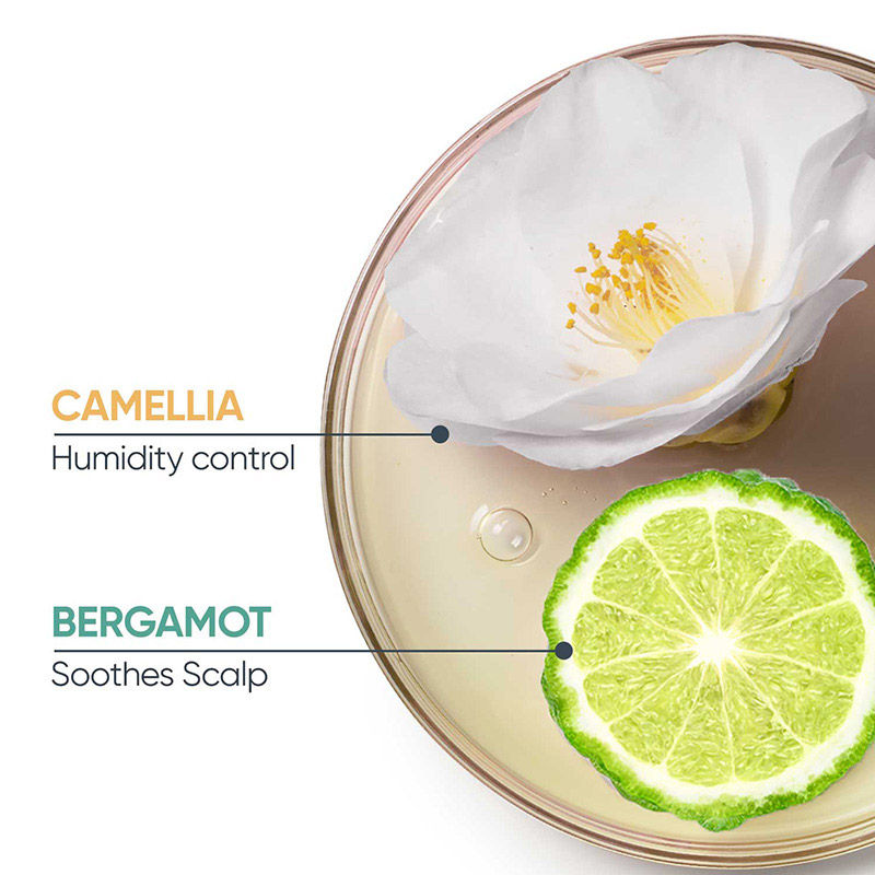 Biolage Scalppure Anti-Dandruff Shampoo, Anti-Frizz Conditioner Kit with FREE Scalp Massager (3 pcs) Combo, 3 pieces Buy at Indicrest Image 6