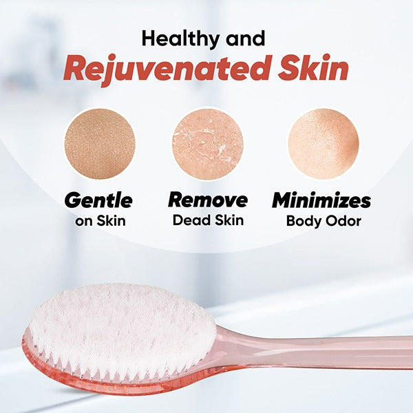 Vega New Luxury Bristle Bath Brush - BA-1/3