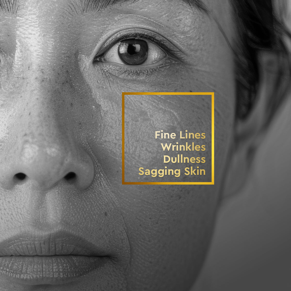 VLCC Anti Ageing Regime - Image 2 - Buy from Indicrest