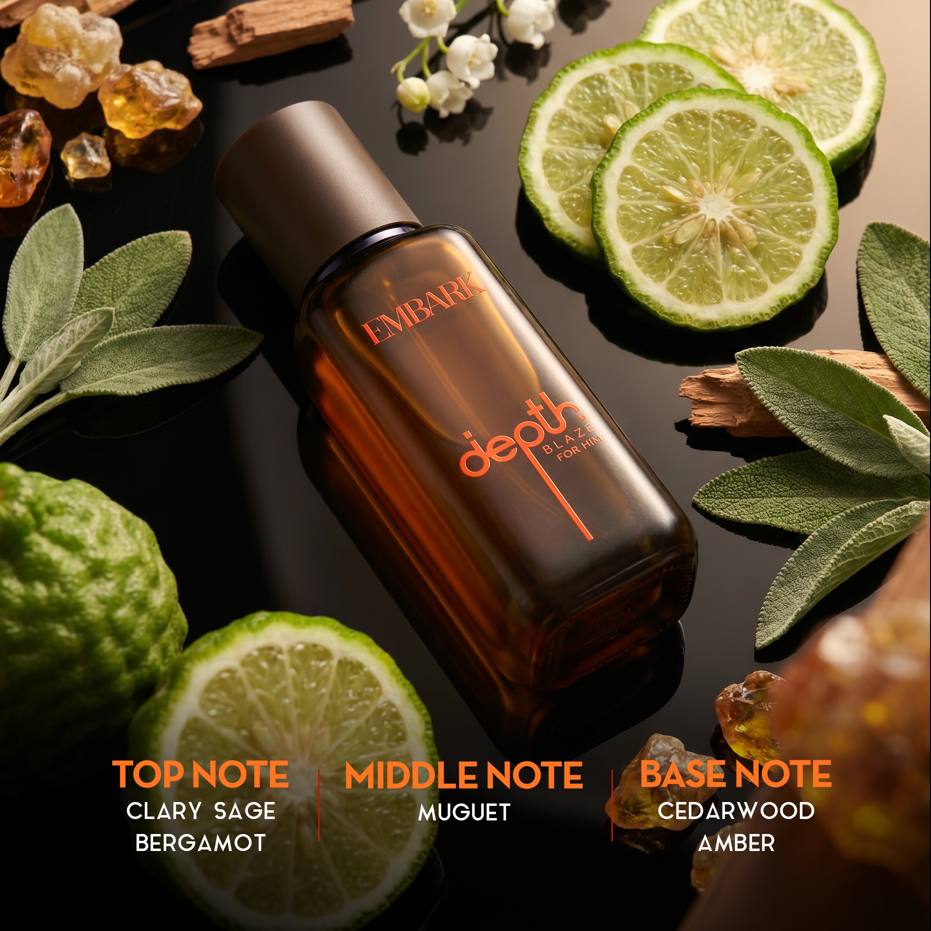 Embark Perfumes BLAZE , 100 ml