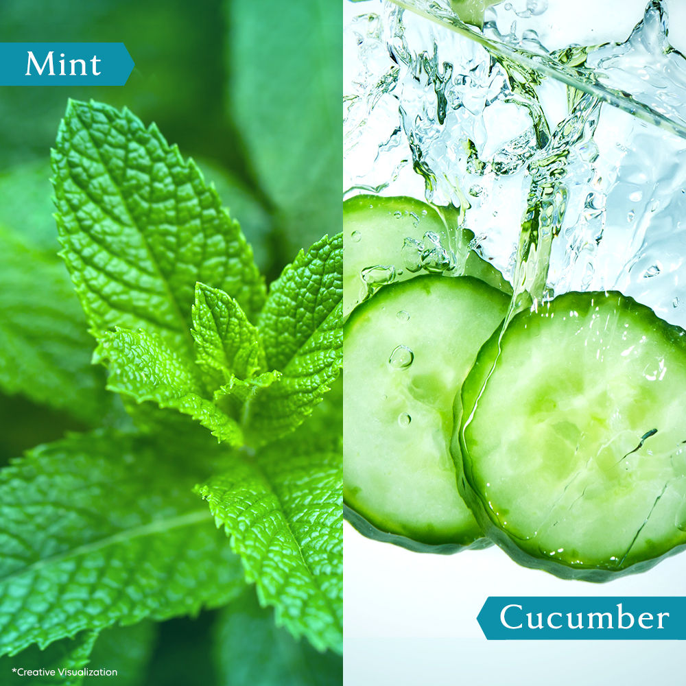 Vivel Cooling Body Wash Mint & Cucumber Moisturizing Shower Gel Supersaver XL Refill Pouch, 1500ml Buy at Indicrest Image 5