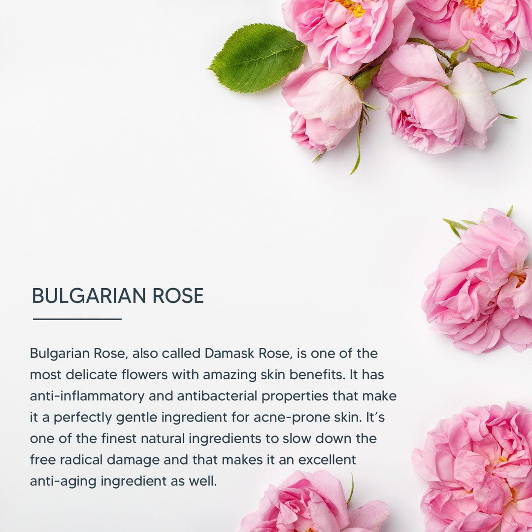 lotus-professional-dermospa-bulgarian-rose-radiance-renewal-night-creme-50g - Image 3 - Buy from Indicrest