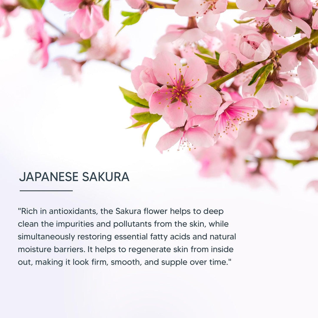 lotus-professional-dermospa-japanese-sakura-skin-whitening-nourishing-night-creme-50g - Image 3 - Buy from Indicrest