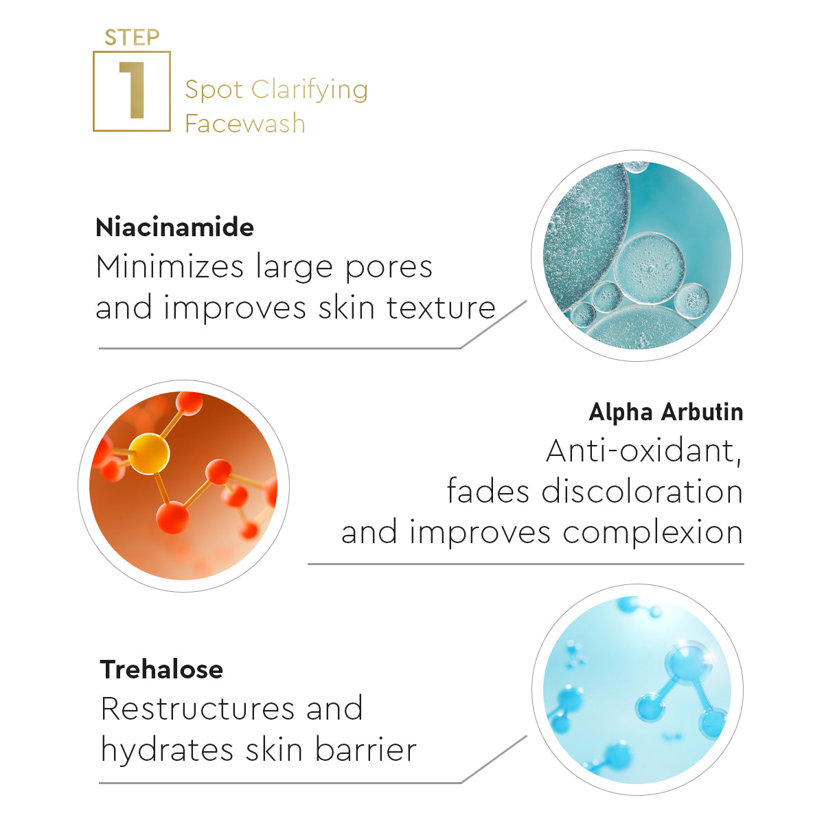 VLCC Anti Pigmentation Regime - Image 6 - Buy from Indicrest