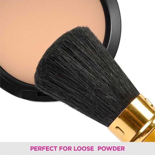 Vega Powder Brush - EV-20(RT)