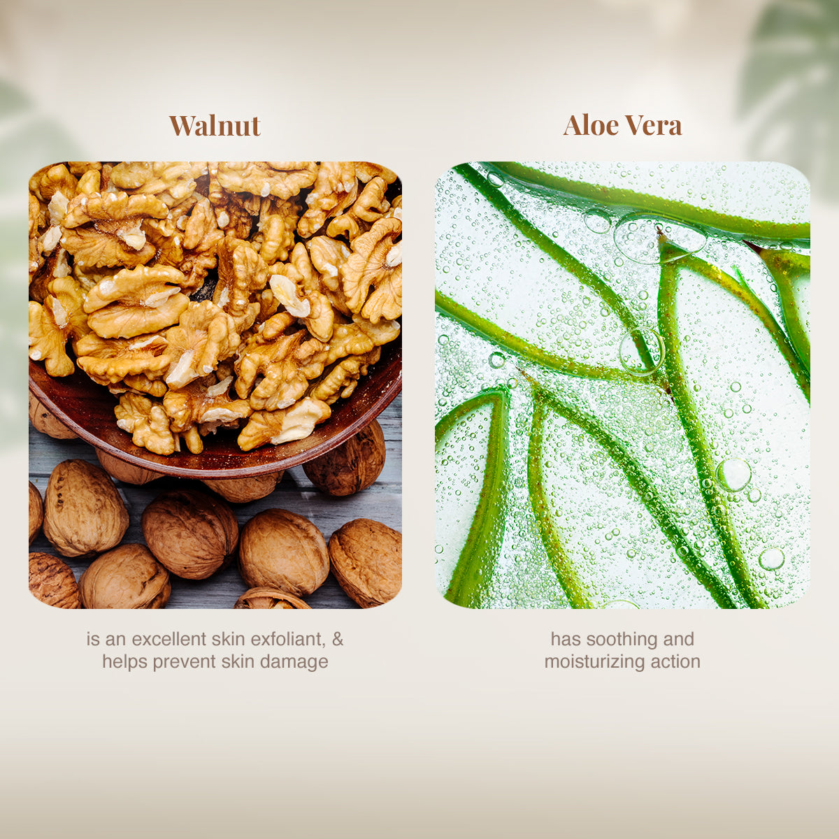 VLCC Walnut Face Scrub - 80 g - Image 4 - Buy from Indicrest