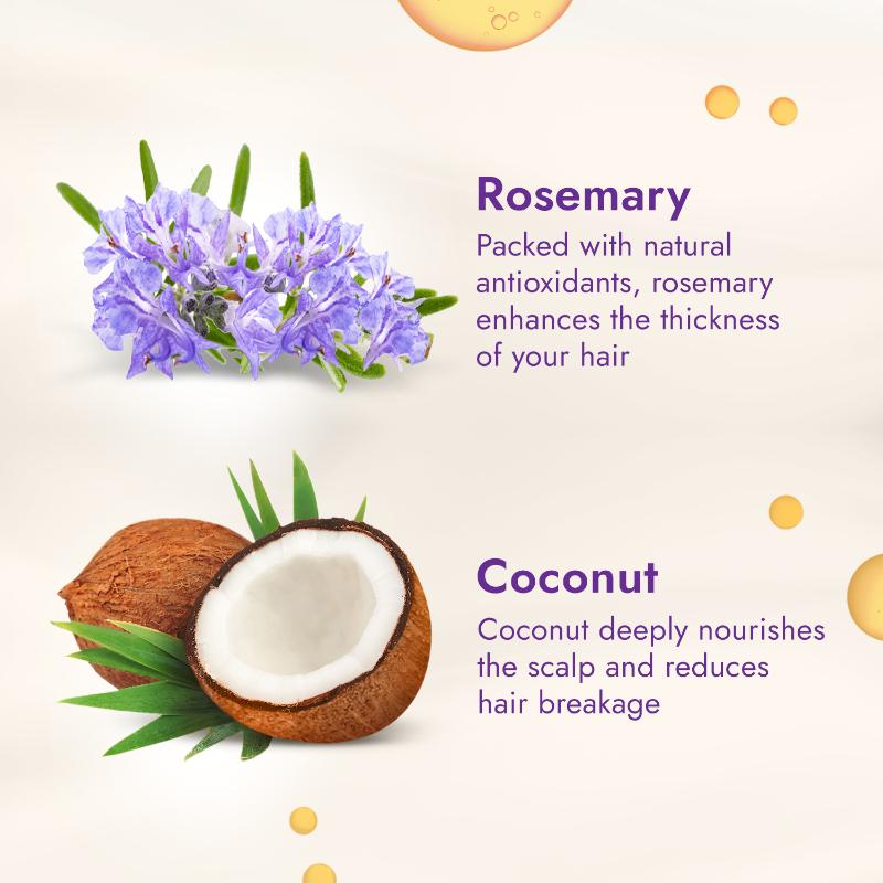 Parachute Advansed Rosemary Enriched Coconut Oil For Upto 2X Thicker Hair, 300ml Buy at Indicrest Image 3