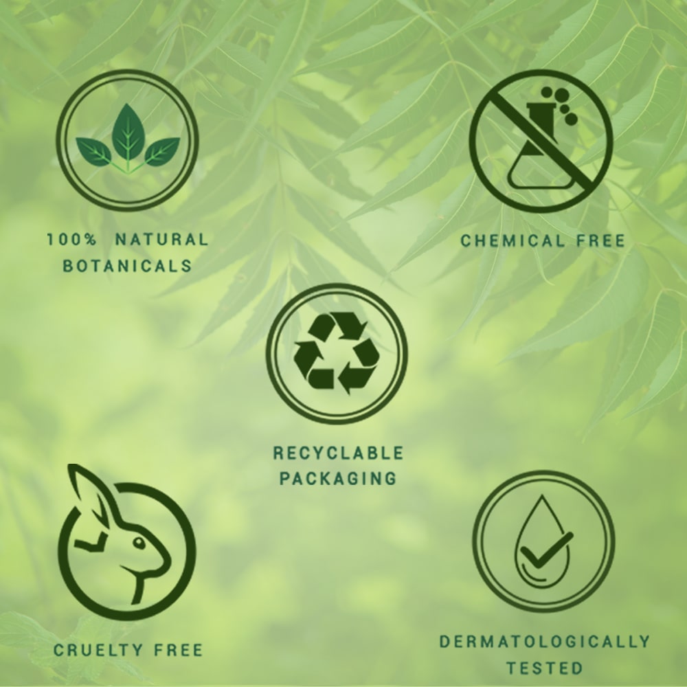Biotique Fresh Neem Anti Dandruff Shampoo & Conditioner, 650ml - Image 6 - Buy from Indicrest